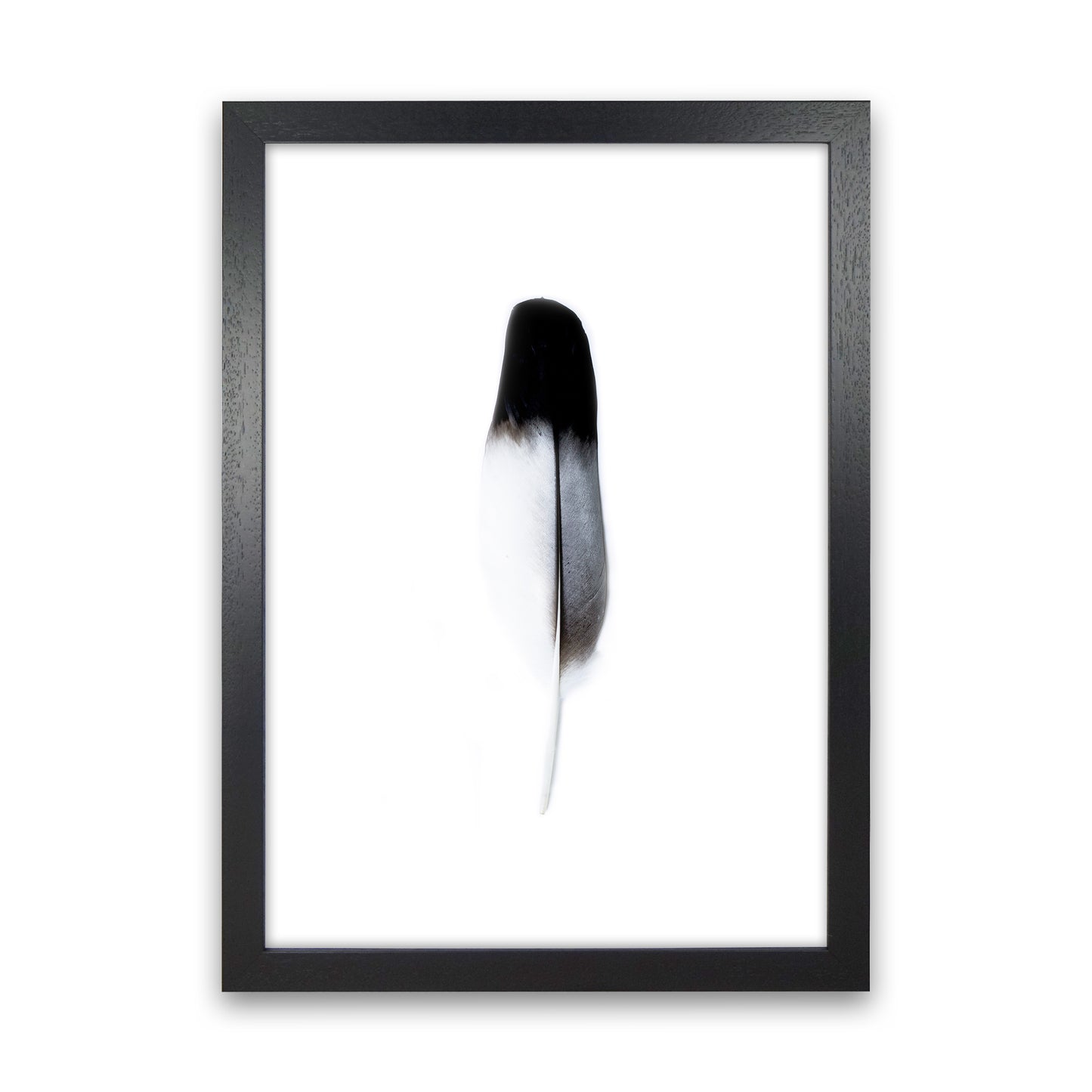 Spirit l Photography Print by Victoria Frost Black Grain
