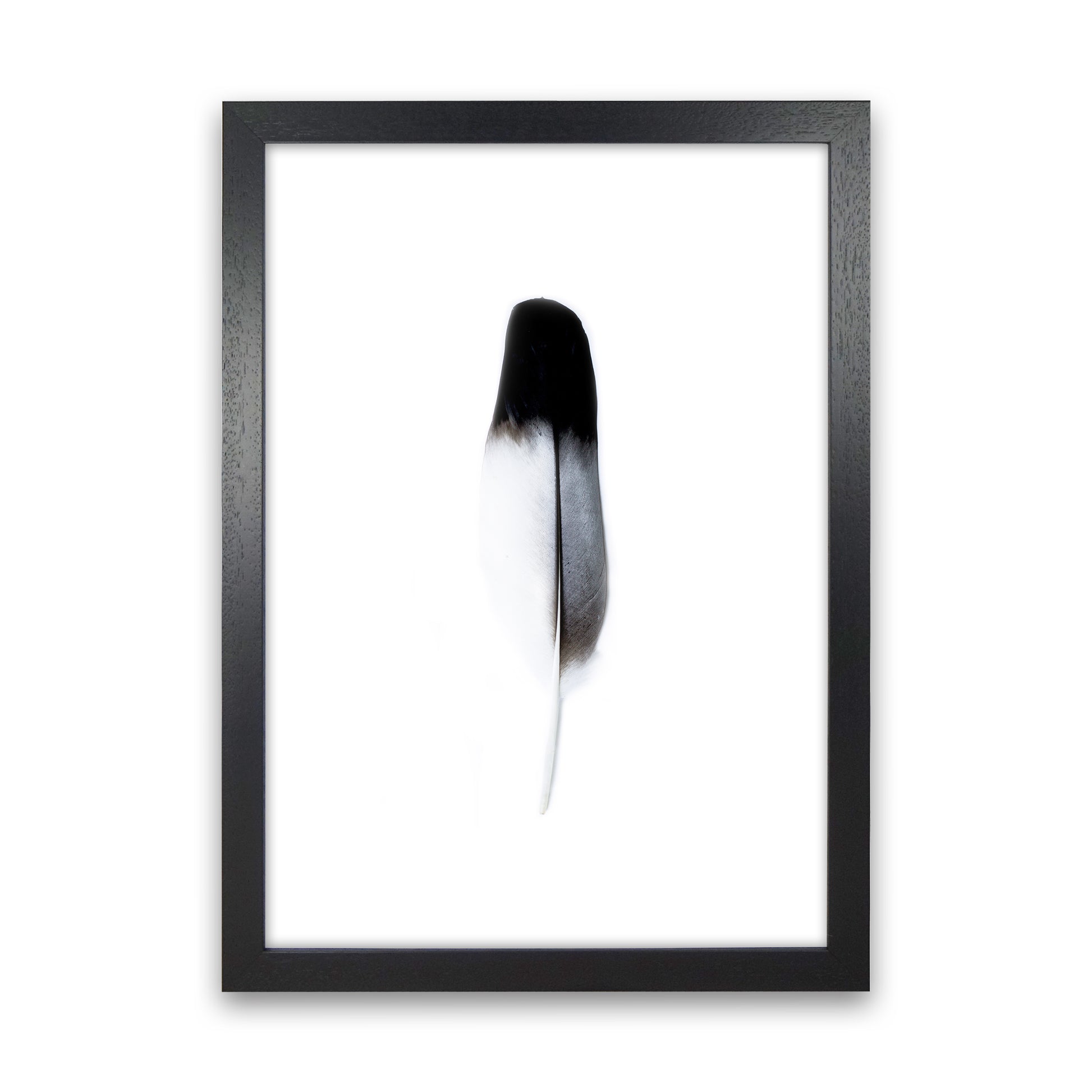 Spirit l Photography Print by Victoria Frost Black Grain