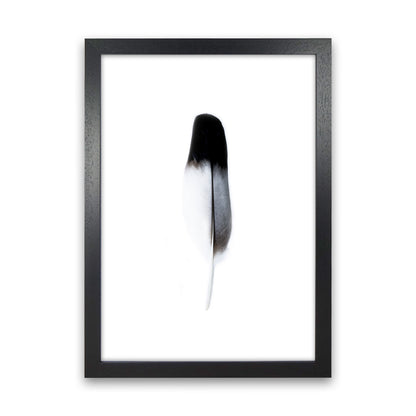 Spirit l Photography Print by Victoria Frost Black Grain