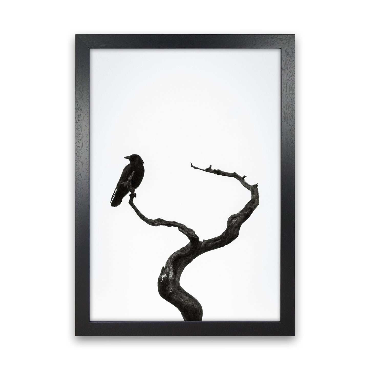 On the look out Photography Print by Victoria Frost Black Grain