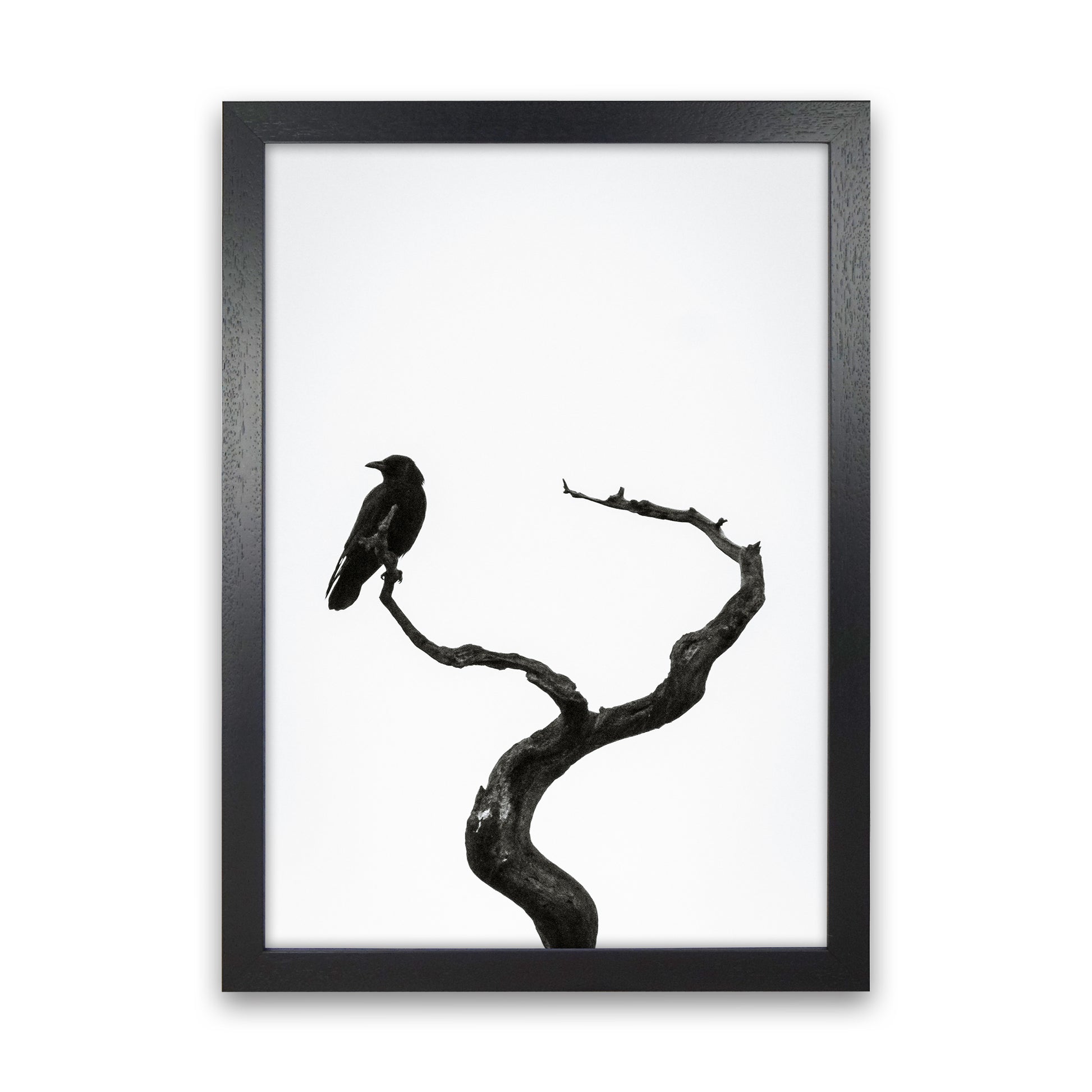 On the look out Photography Print by Victoria Frost Black Grain