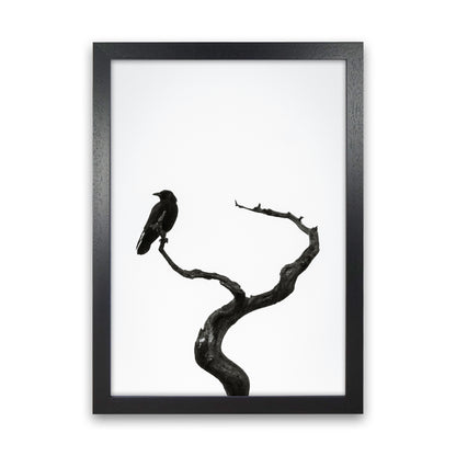 On the look out Photography Print by Victoria Frost Black Grain
