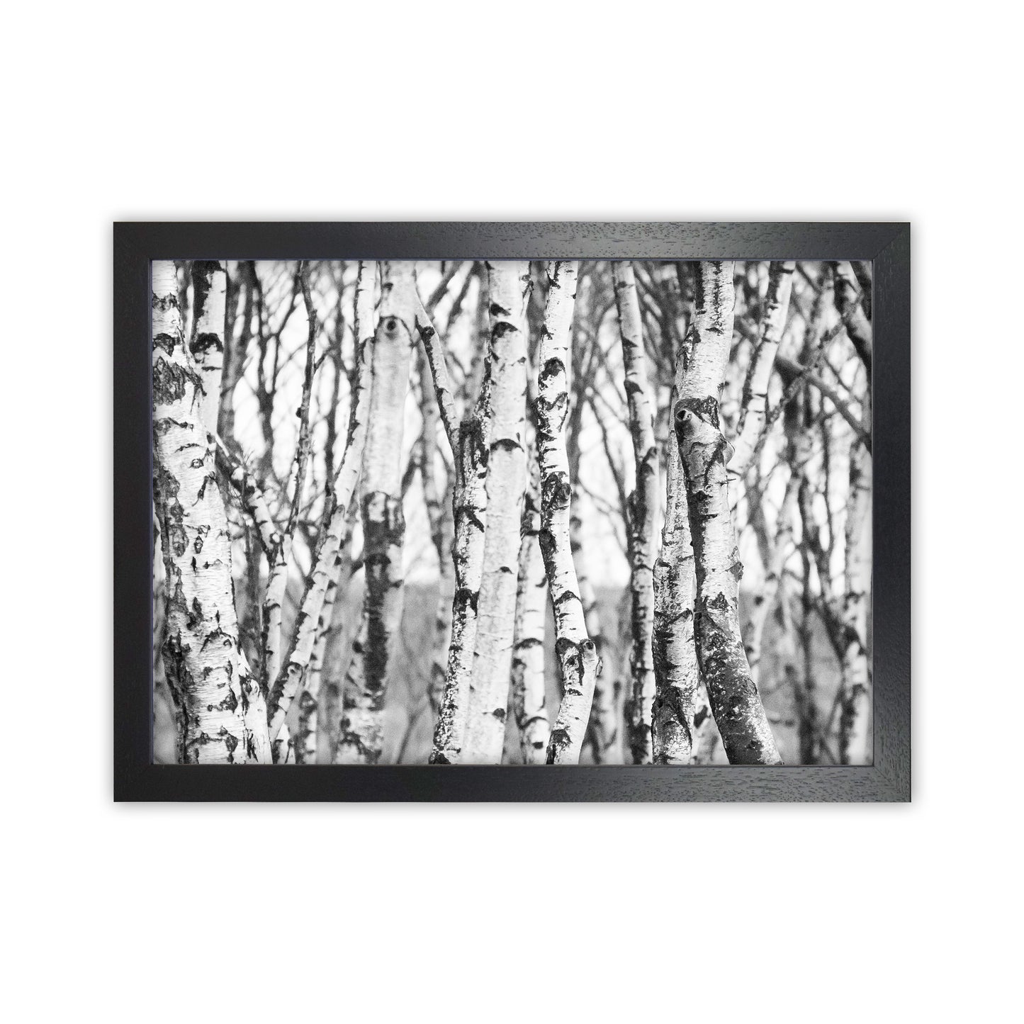 Off the beaten path Photography Print by Victoria Frost Black Grain