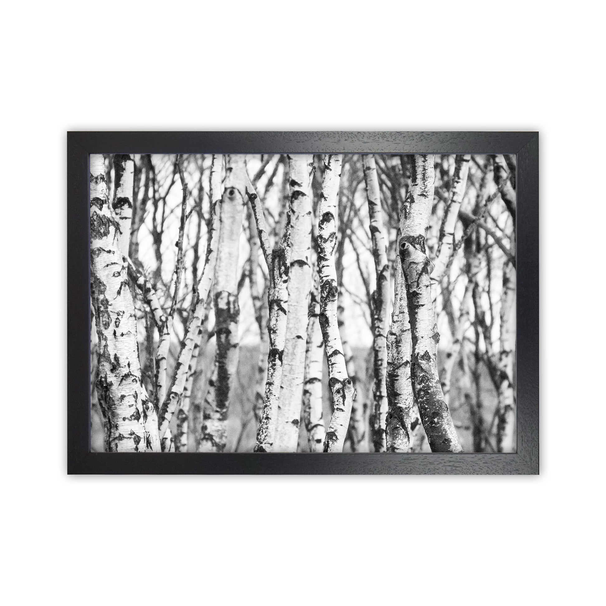 Off the beaten path Photography Print by Victoria Frost Black Grain