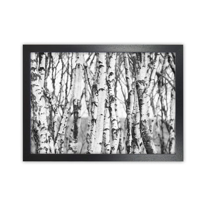 Off the beaten path Photography Print by Victoria Frost Black Grain