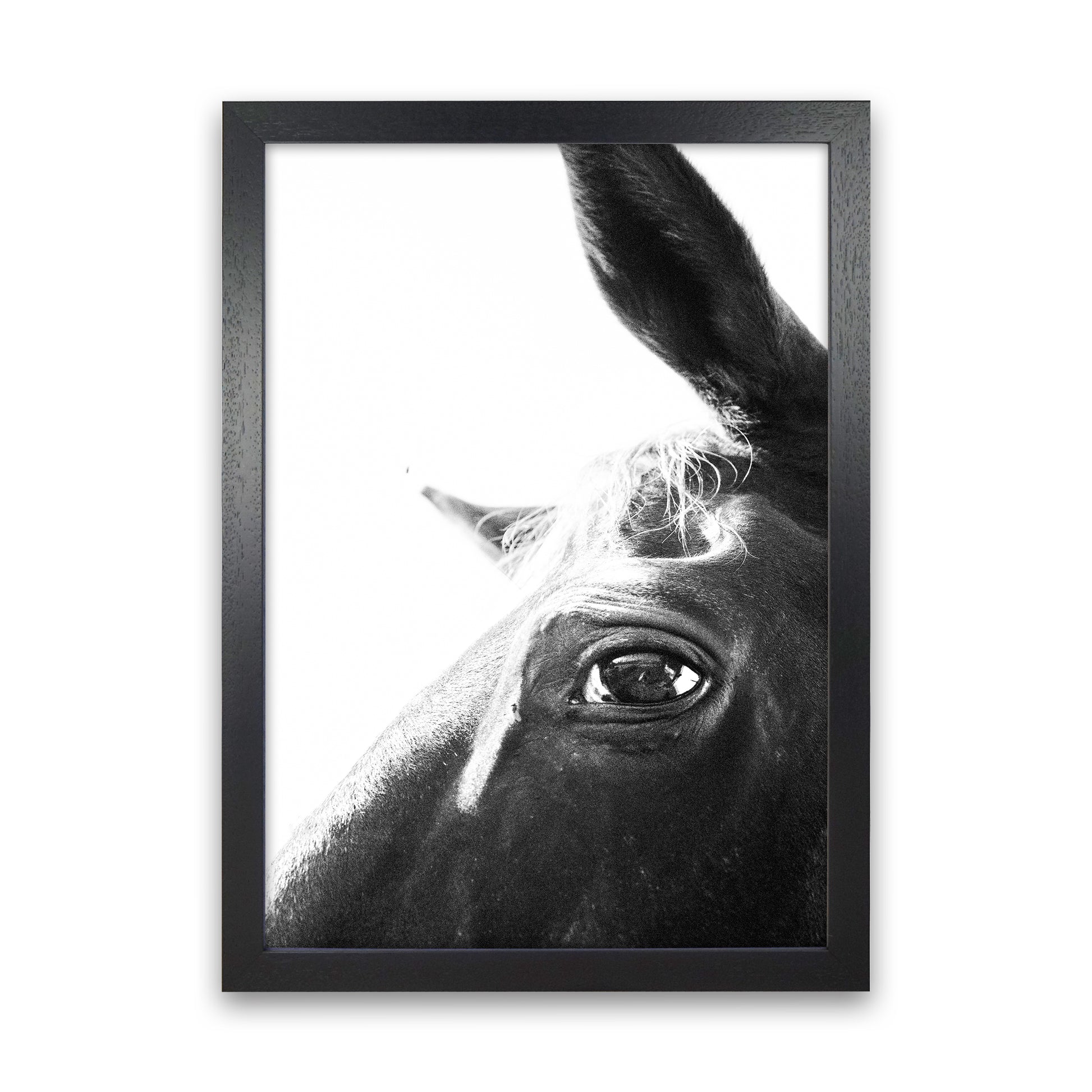 Eye of the beholder Photography Print by Victoria Frost Black Grain