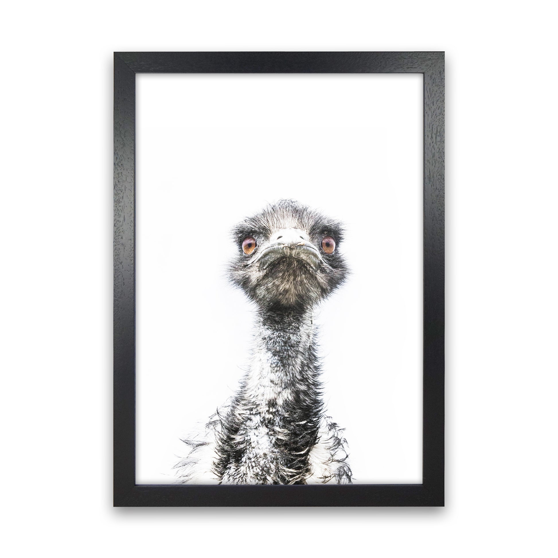 E.M.U Photography Print by Victoria Frost Black Grain