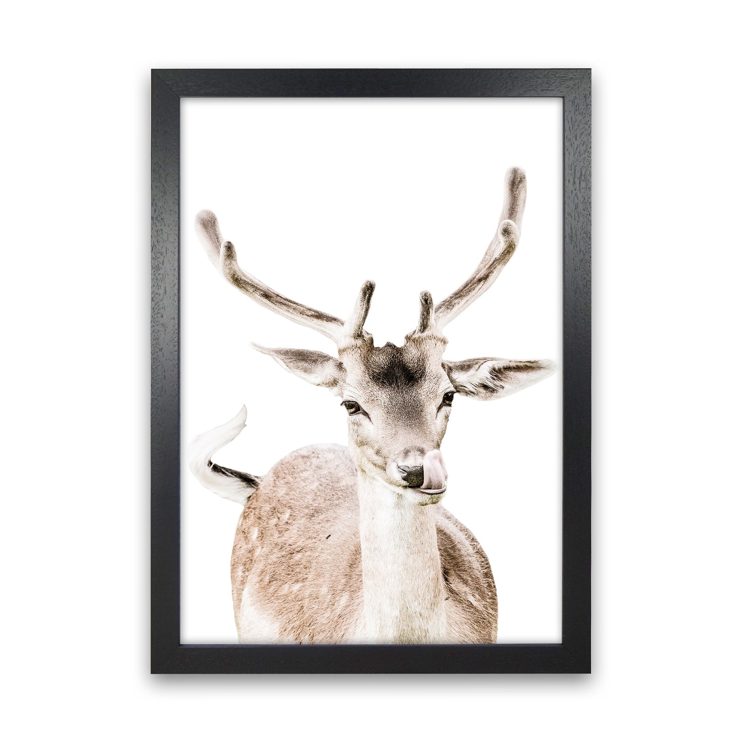 Deer I Photography Print by Victoria Frost Black Grain