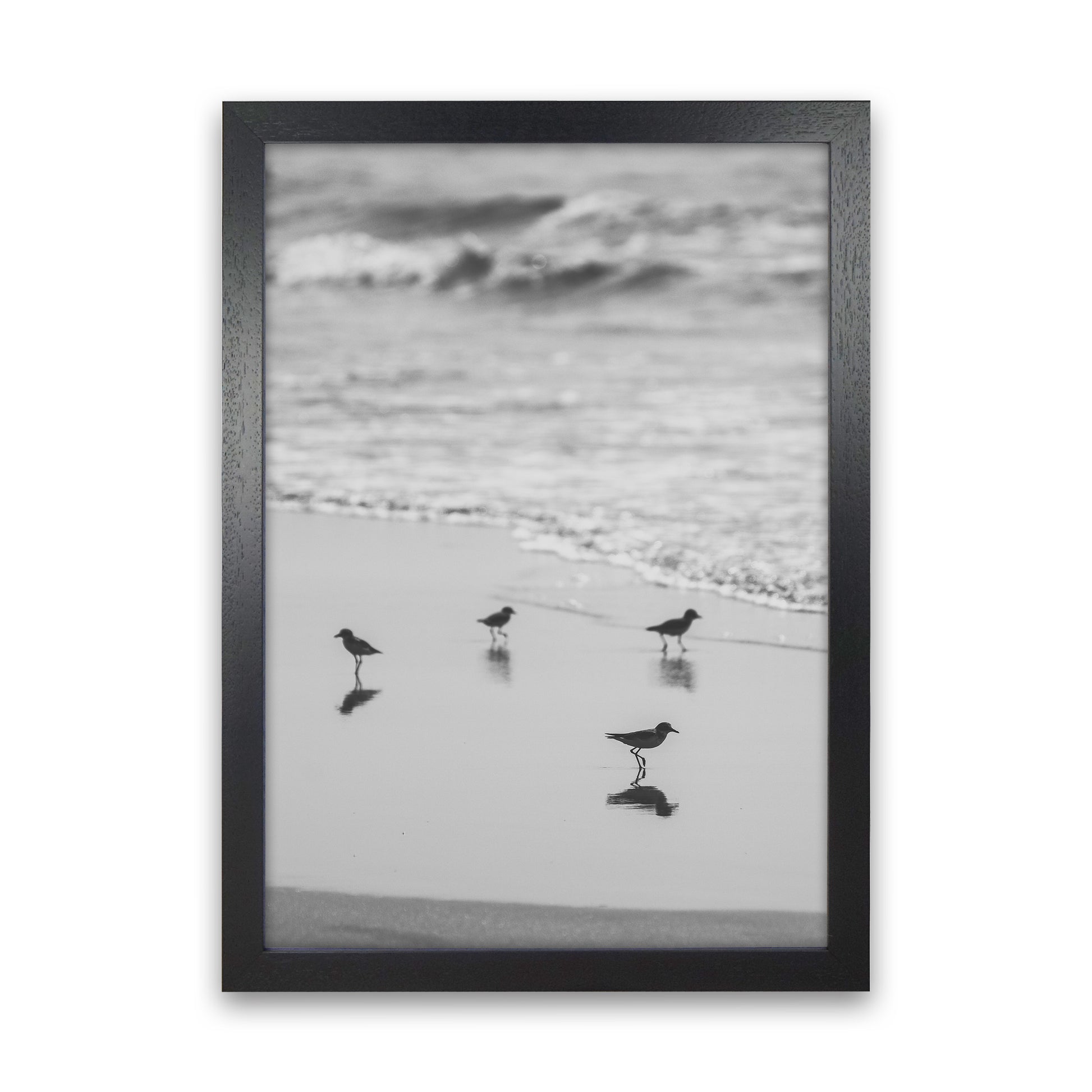Beach Club Photography Print by Victoria Frost Black Grain