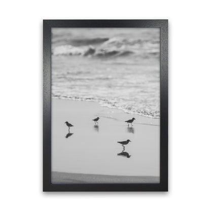 Beach Club Photography Print by Victoria Frost Black Grain