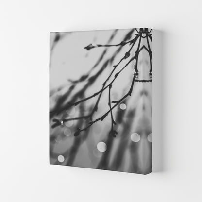 Twilight II Photography Print by Victoria Frost Canvas