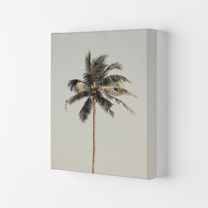Palm tree by the beach Photography Print by Victoria Frost Canvas