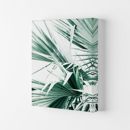 Palm Leaves II Photography Print by Victoria Frost Canvas