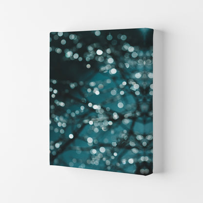 Midnight Sparkle Photography Print by Victoria Frost Canvas