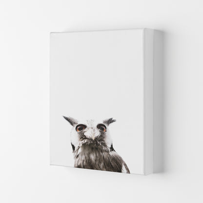 Lil Owl Photography Print by Victoria Frost Canvas
