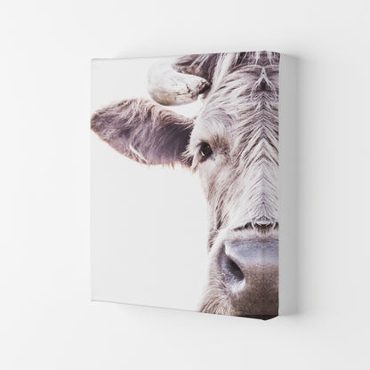Highlander II Photography Print by Victoria Frost Canvas