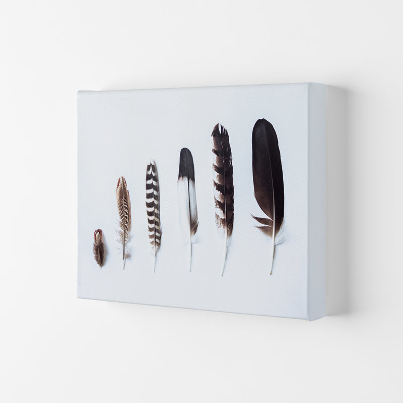 Feathers II Photography Print by Victoria Frost Canvas