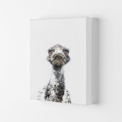 E.M.U Photography Print by Victoria Frost Canvas