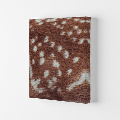 Deer skin Photography Print by Victoria Frost Canvas