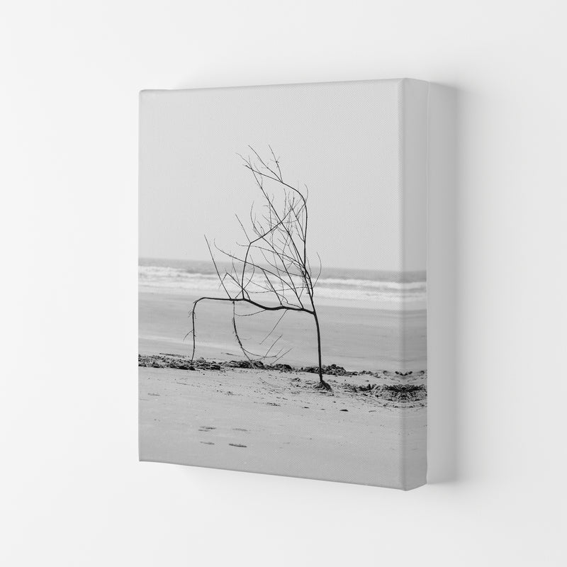 Beach Sculpture Photography Print by Victoria Frost Canvas