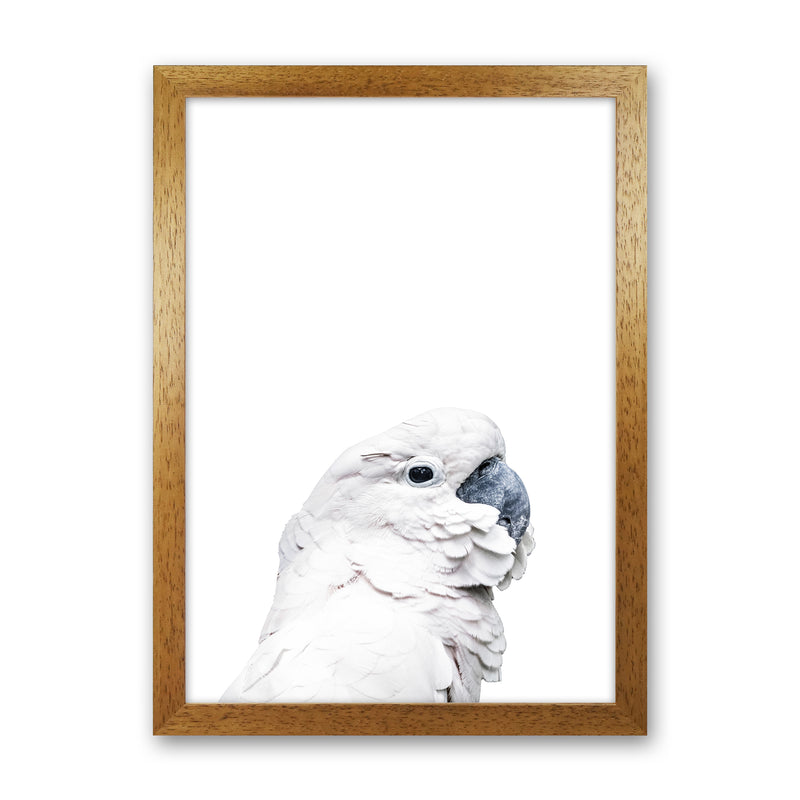White Cockatoo Photography Print by Victoria Frost Oak Grain
