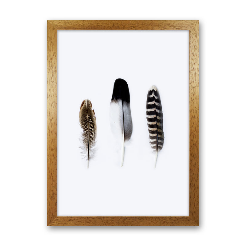 Spirits III Photography Print by Victoria Frost Oak Grain
