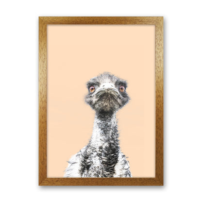 Orange Emu Photography Print by Victoria Frost Oak Grain