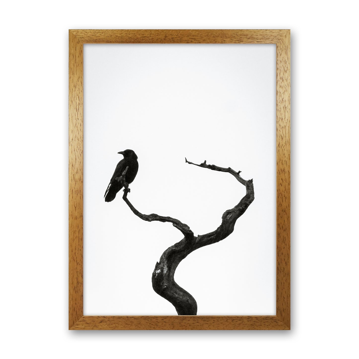 On the look out Photography Print by Victoria Frost Oak Grain
