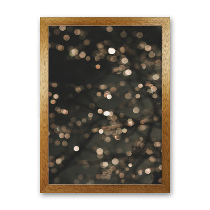 Midnight Glow Photography Print by Victoria Frost Oak Grain