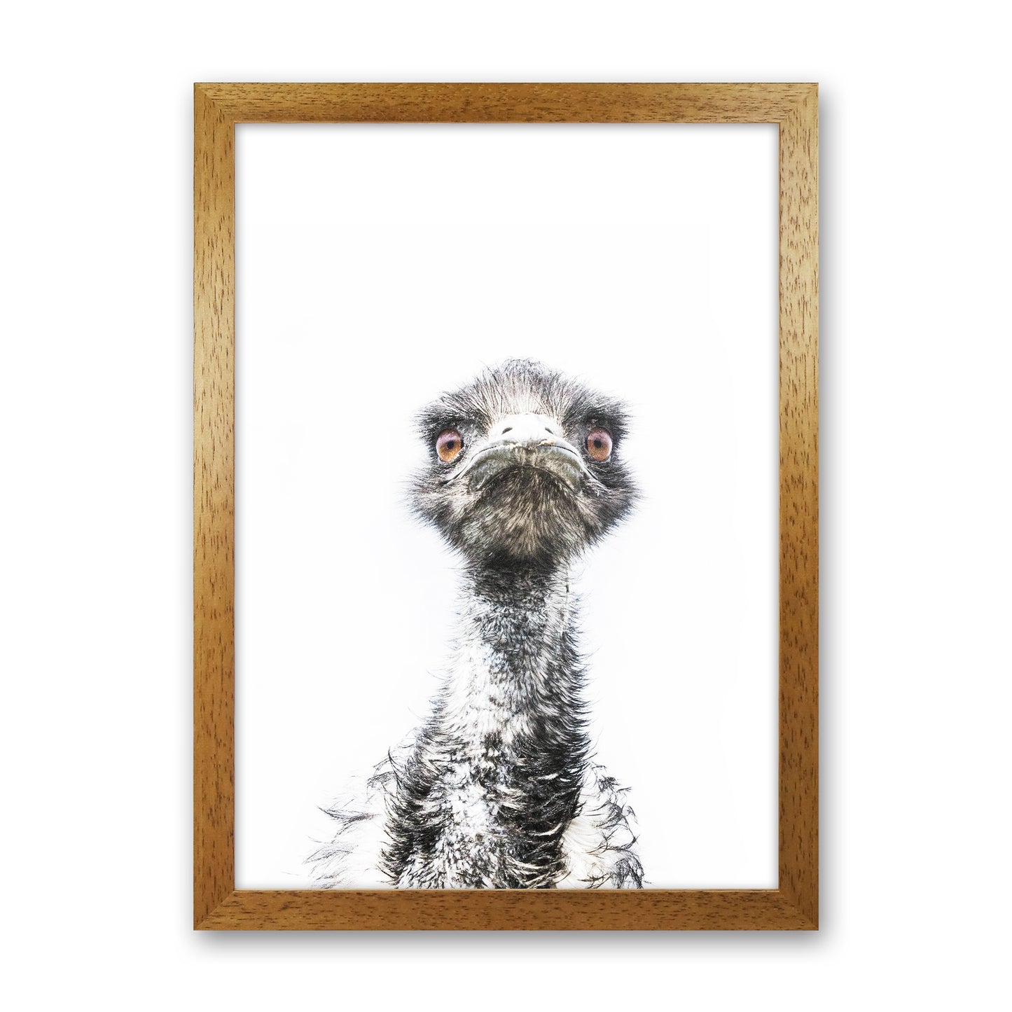 E.M.U Photography Print by Victoria Frost Oak Grain