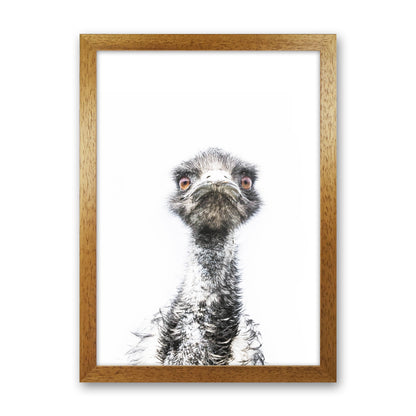 E.M.U Photography Print by Victoria Frost Oak Grain
