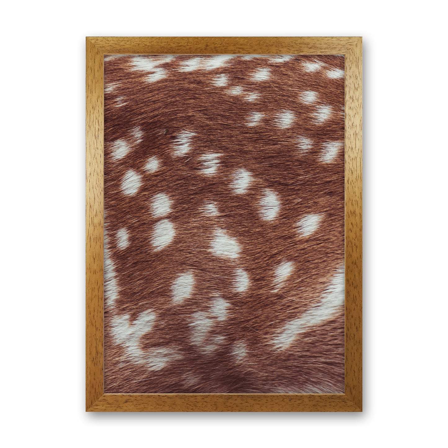 Deer skin Photography Print by Victoria Frost Oak Grain