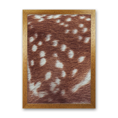 Deer skin Photography Print by Victoria Frost Oak Grain