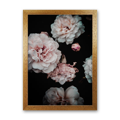 Crisp Pink Photography Print by Victoria Frost Oak Grain
