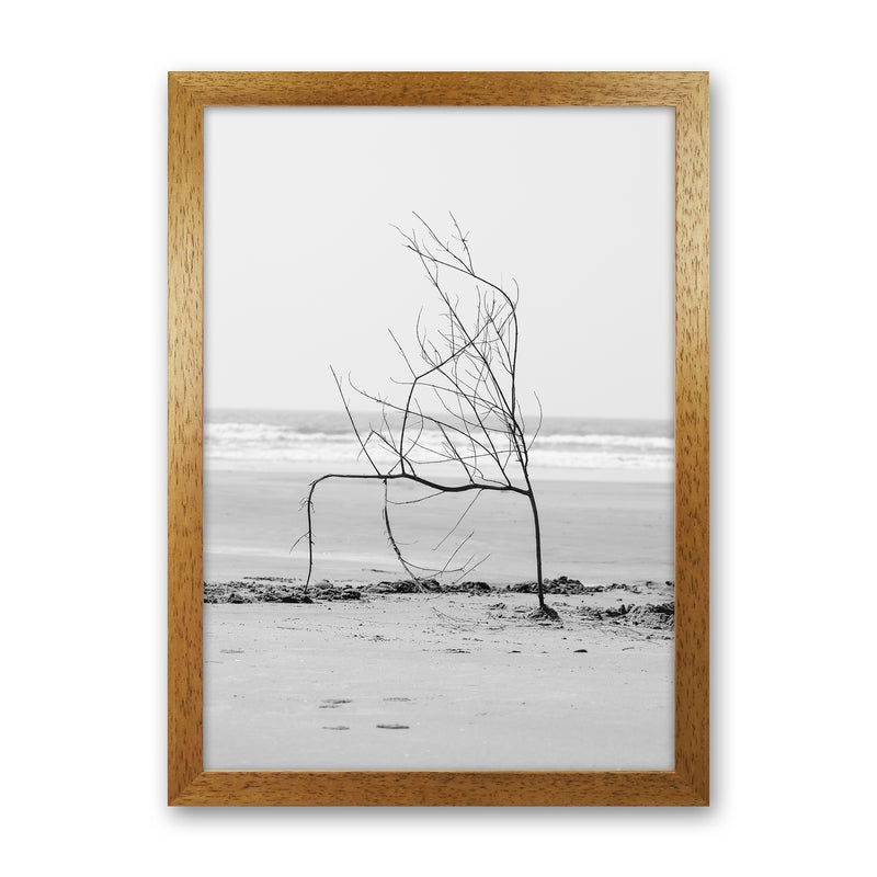 Beach Sculpture Photography Print by Victoria Frost Oak Grain