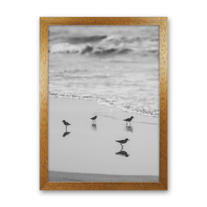 Beach Club Photography Print by Victoria Frost Oak Grain