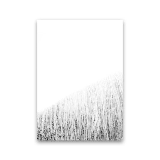 White Horse I Photography Print by Victoria Frost Print Only