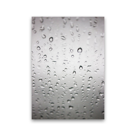 Touch of Rain Photography Print by Victoria Frost Print Only