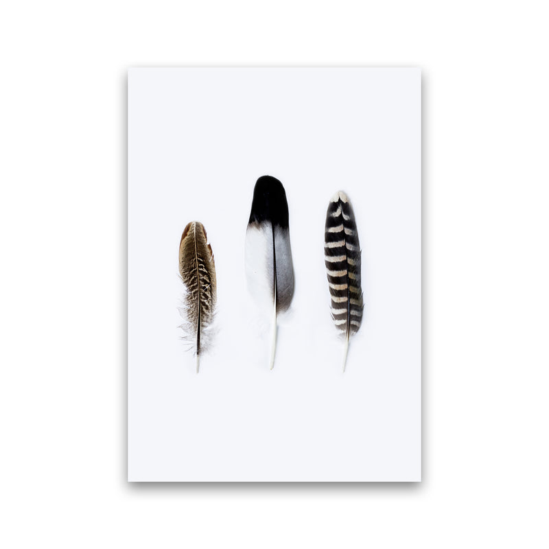 Spirits III Photography Print by Victoria Frost Print Only