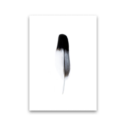 Spirit l Photography Print by Victoria Frost Print Only