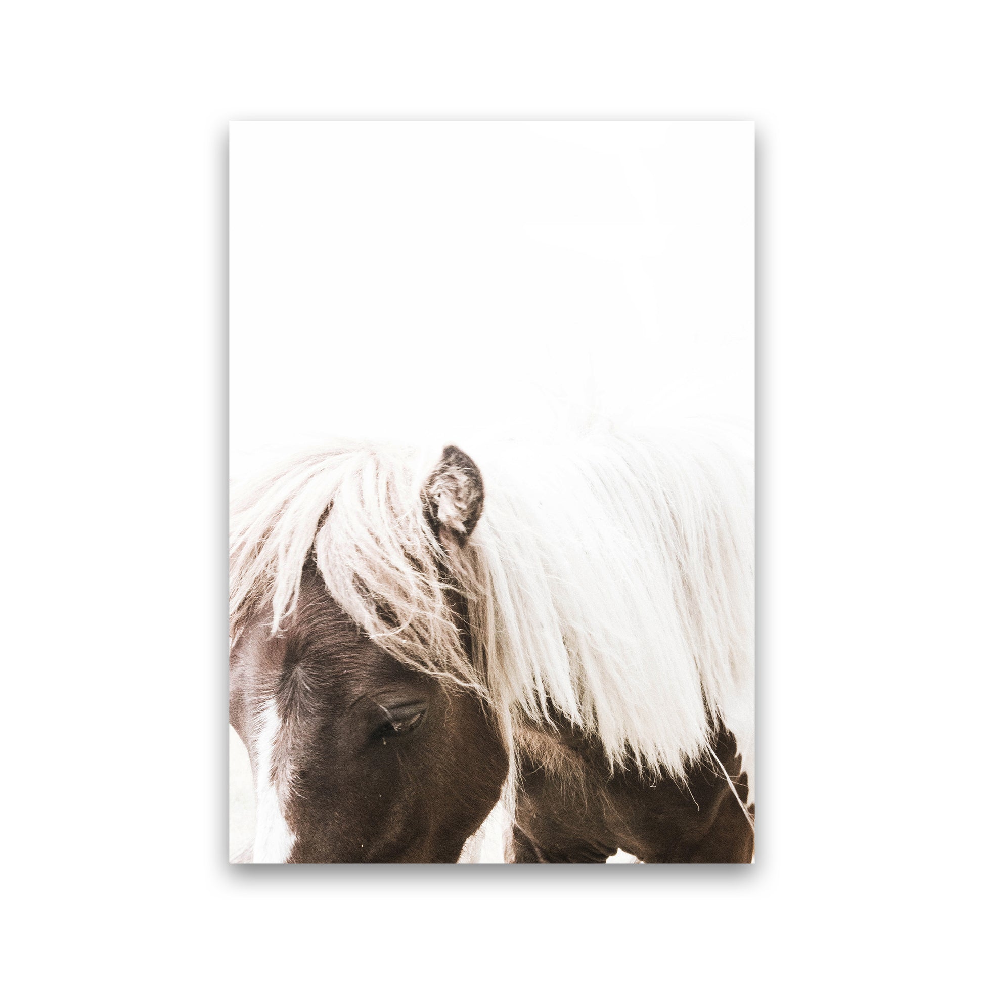 Horse III Photography Print by Victoria Frost Print Only
