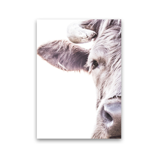 Highlander II Photography Print by Victoria Frost Print Only