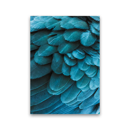 Blue Feathers Photography Print by Victoria Frost Print Only
