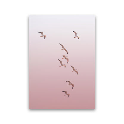 Birds in the Sky-pink Photography Print by Victoria Frost Print Only
