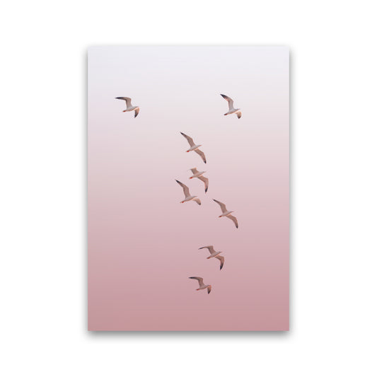 Birds in the Sky-pink Photography Print by Victoria Frost Print Only