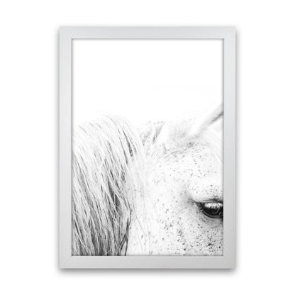 White Horse II Photography Print by Victoria Frost White Grain