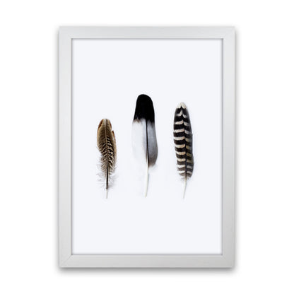 Spirits III Photography Print by Victoria Frost White Grain