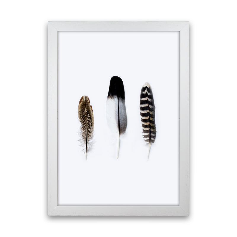 Spirits III Photography Print by Victoria Frost White Grain