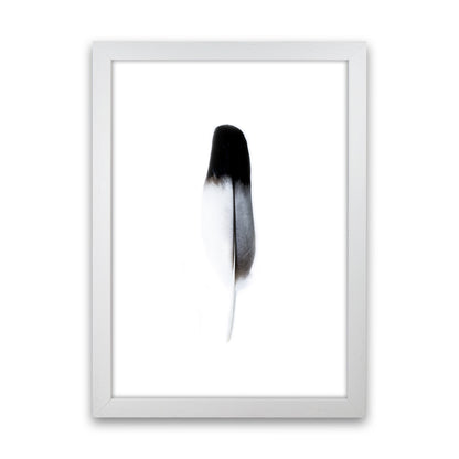 Spirit l Photography Print by Victoria Frost White Grain