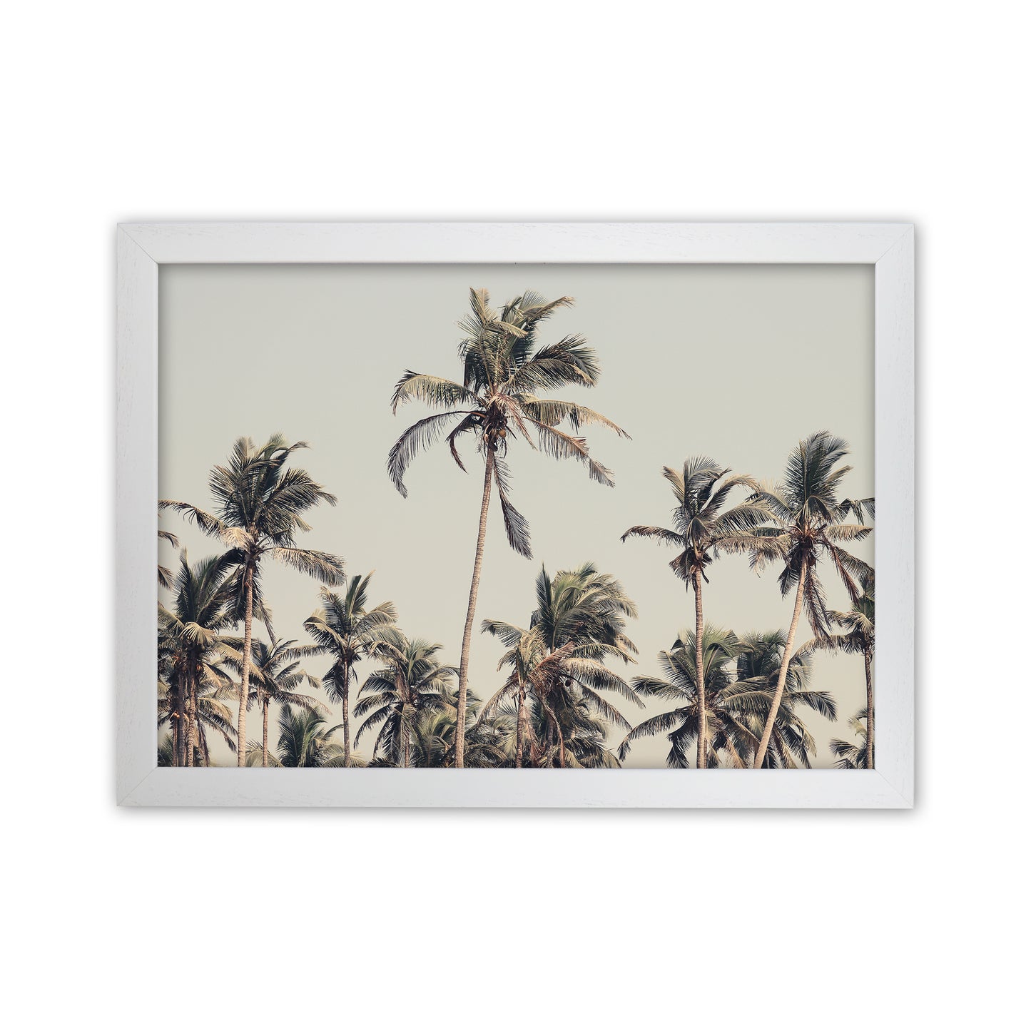 Palm Trees on the beach Photography Print by Victoria Frost White Grain